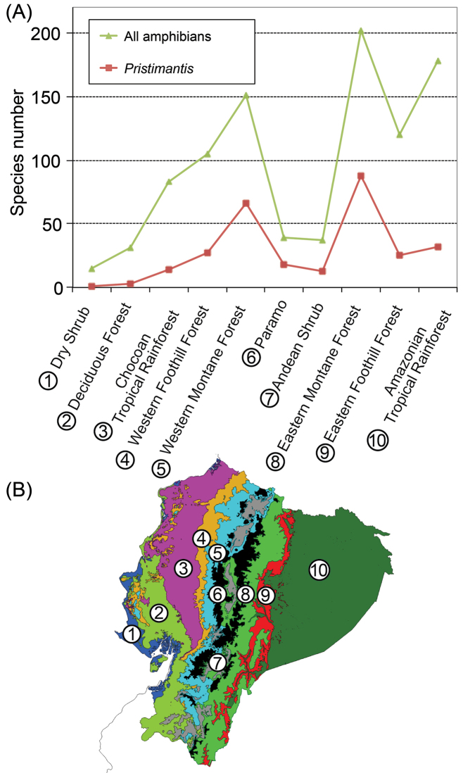 Figure 11.