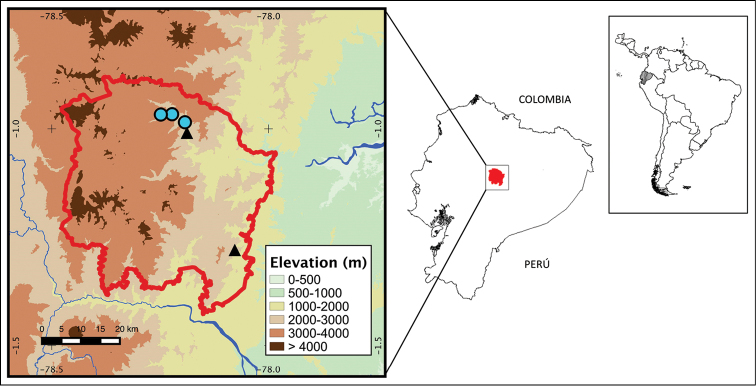 Figure 9.