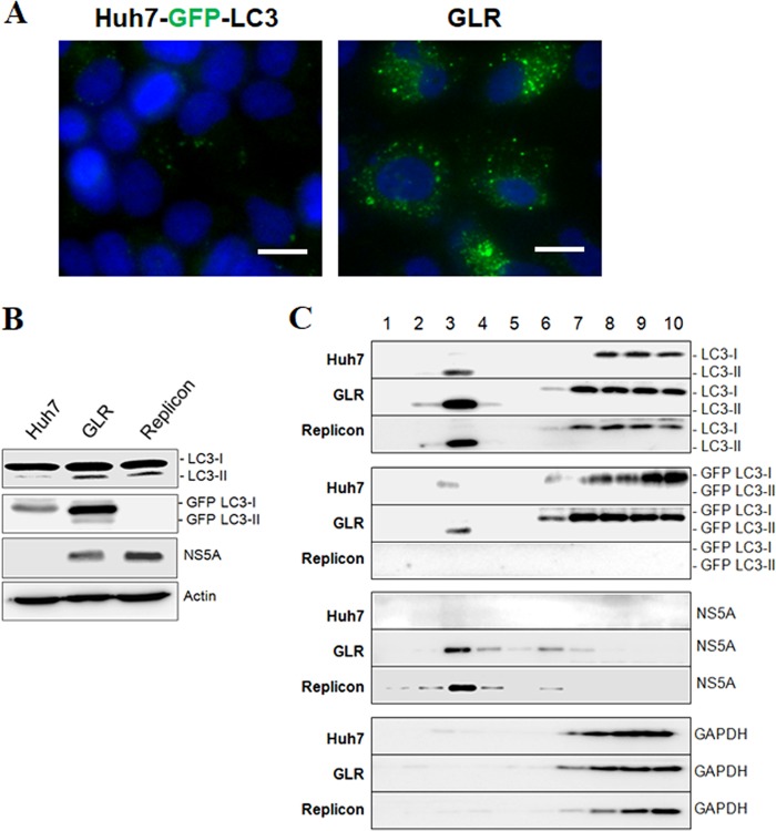 FIG 1