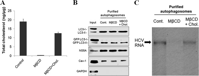 FIG 8