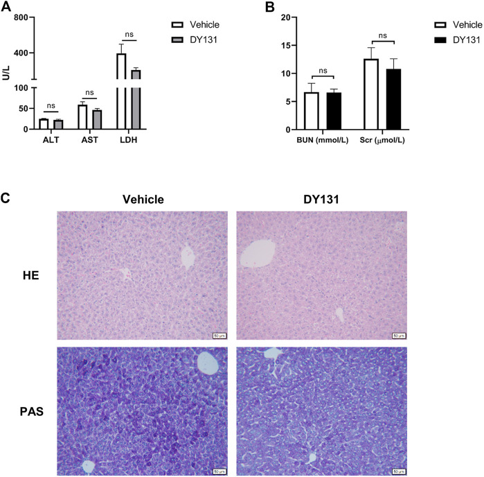 FIGURE 6