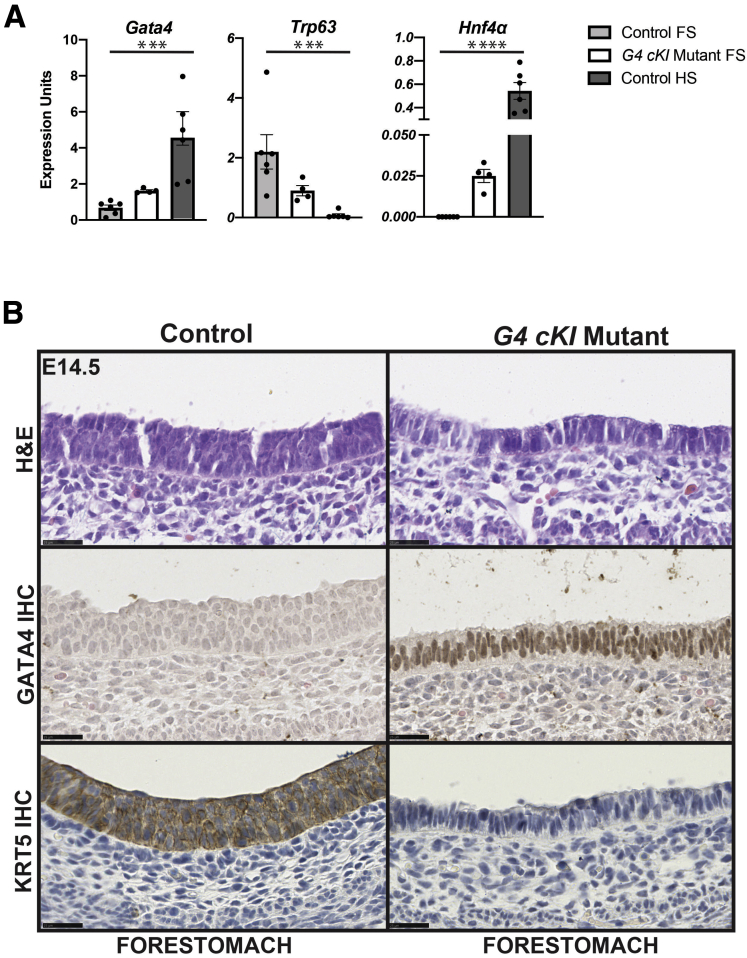 Figure 6