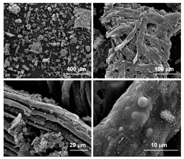 Figure 10