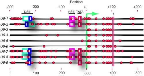 FIGURE 1.