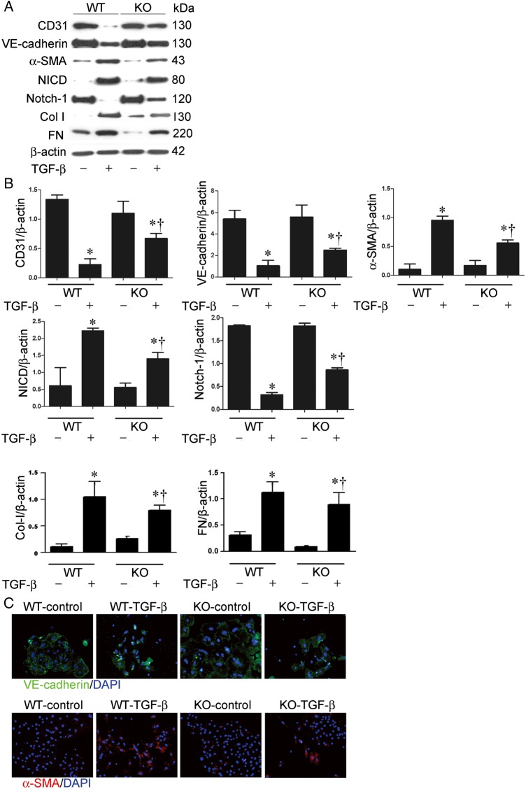 FIGURE 4