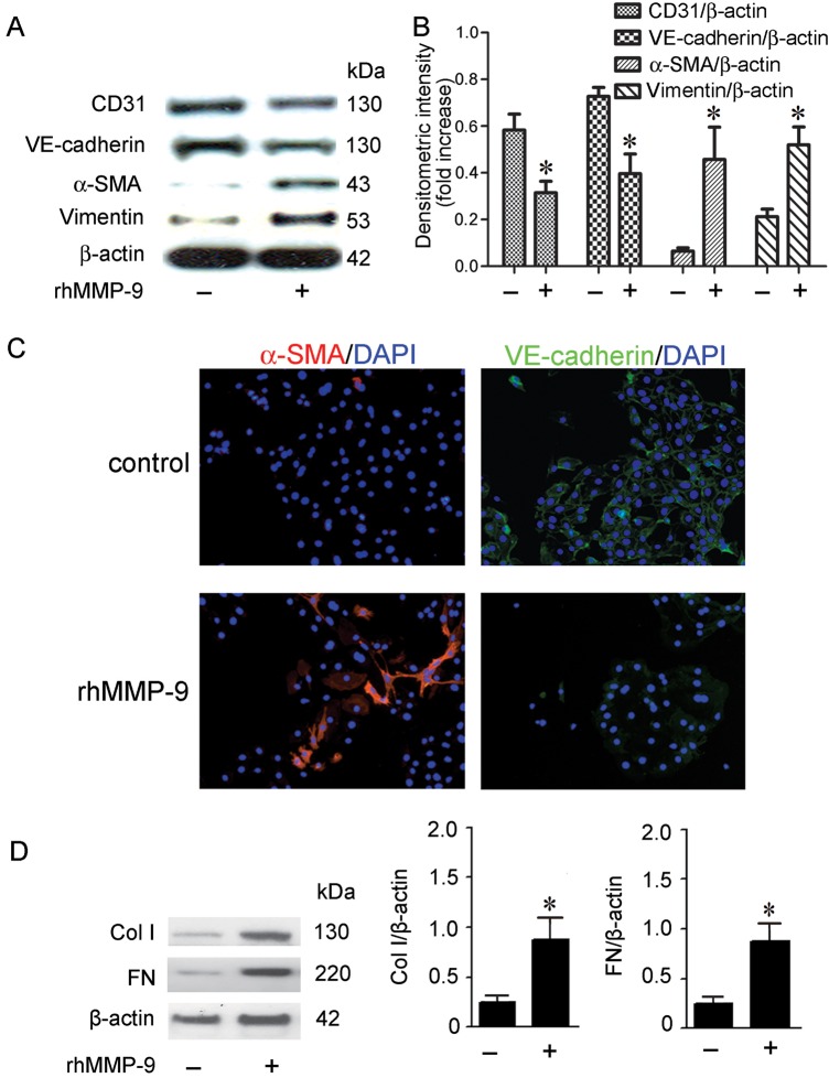 FIGURE 3