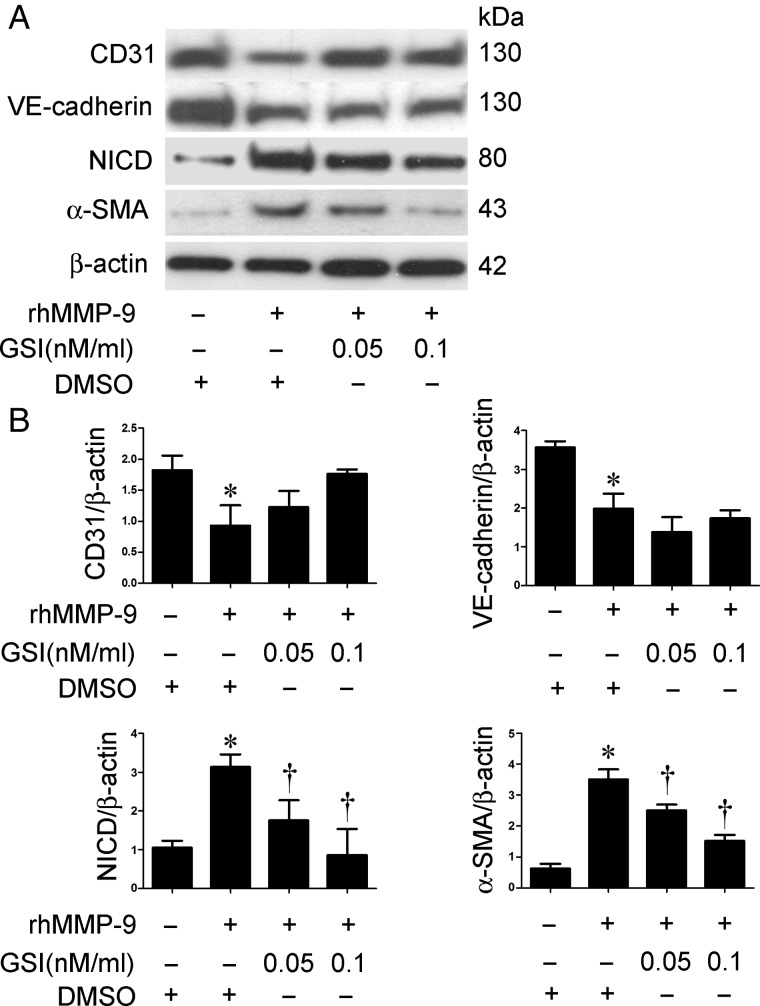 FIGURE 5