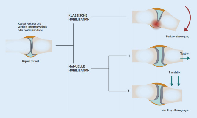 graphic file with name 113_2021_1004_Fig10_HTML.jpg