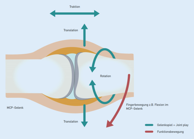 graphic file with name 113_2021_1004_Fig9_HTML.jpg