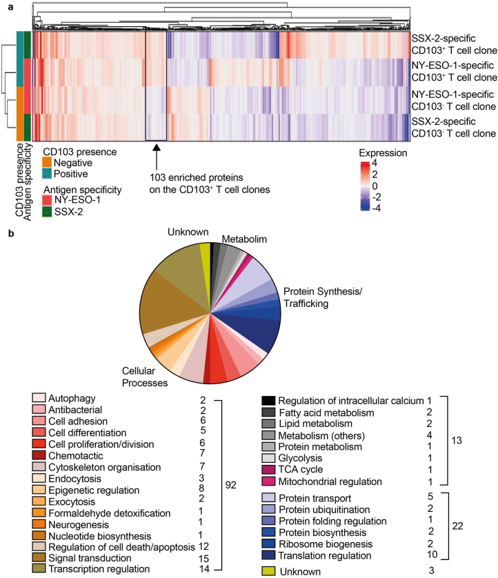 Extended Data Fig. 1