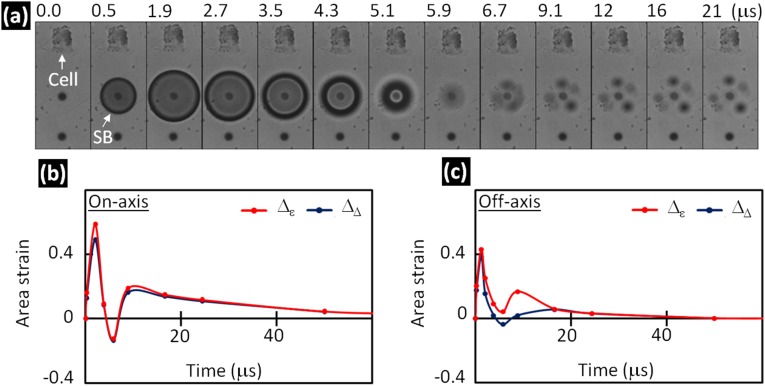 Fig. S3.