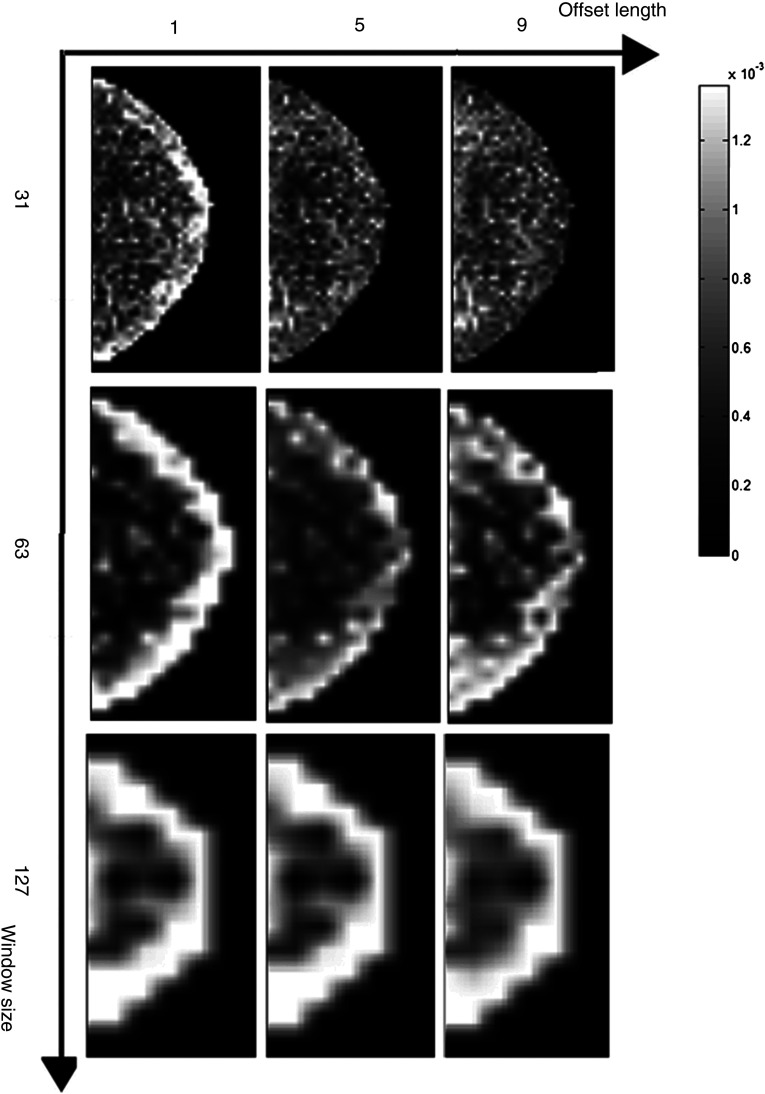 Fig. 7