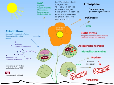 FIGURE 2.