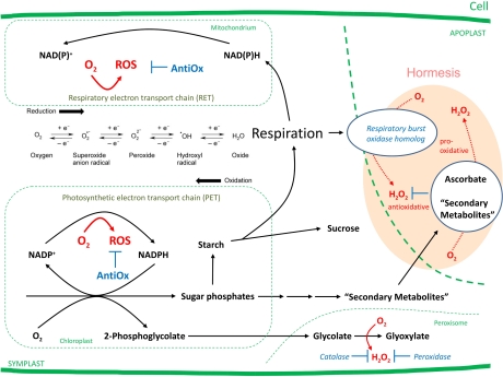 FIGURE 1.