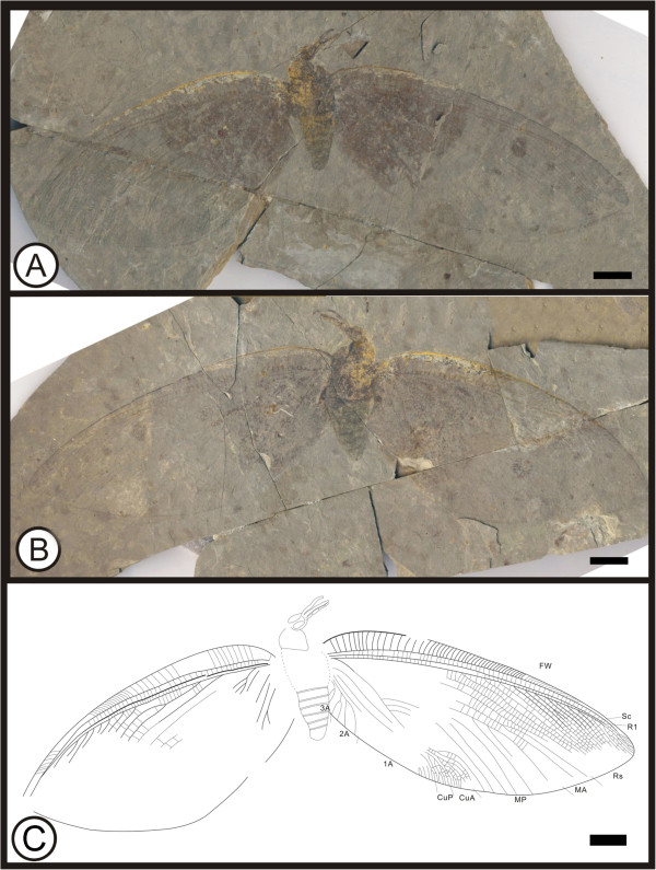 Figure 15