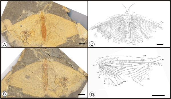 Figure 16