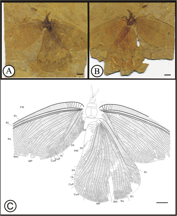 Figure 13