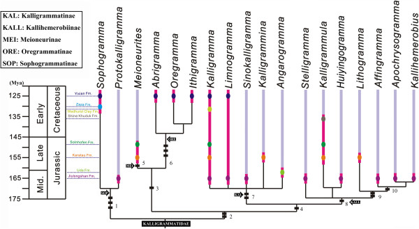 Figure 17