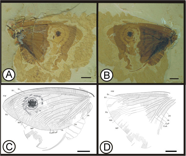 Figure 14