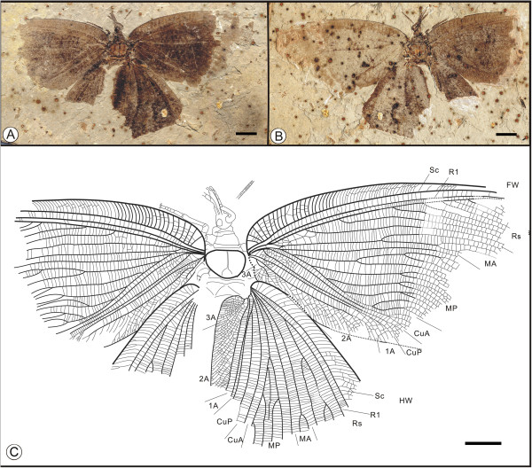 Figure 10