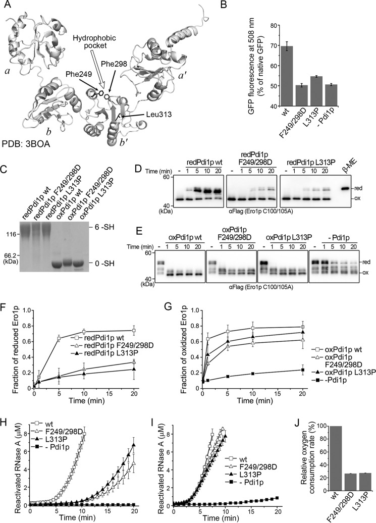 FIGURE 6.