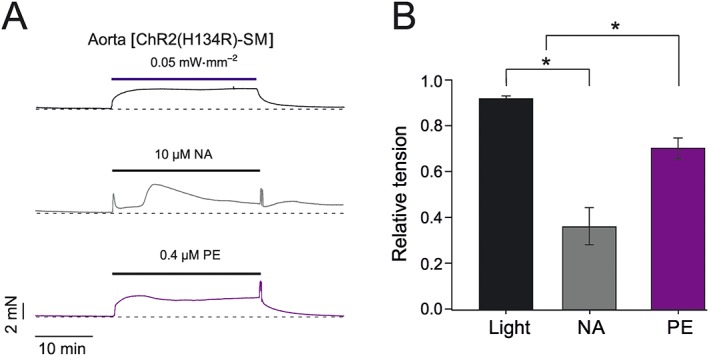 Figure 7