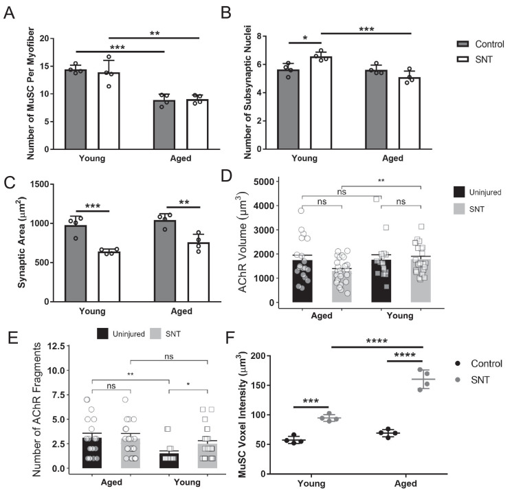 Figure 2—figure supplement 1.