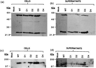 FIG. 6