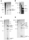 FIG. 9