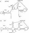 FIG. 11