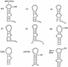 FIG. 12