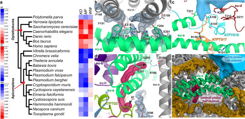 Fig. 4