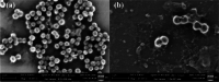 Fig. 9
