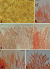 Figure 10.