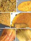Figure 14.