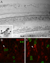 FIG. 8