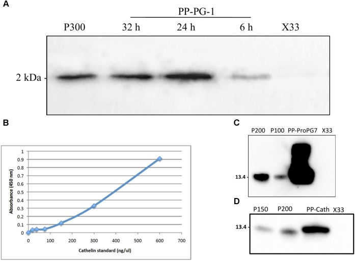 FIGURE 3