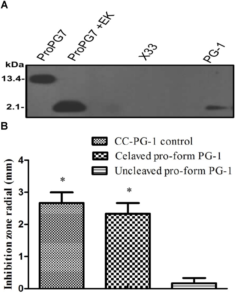 FIGURE 4