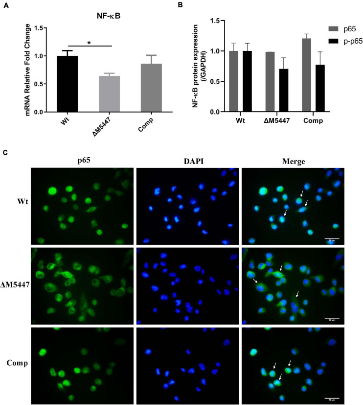 FIGURE 6