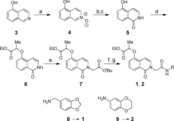 Scheme 1