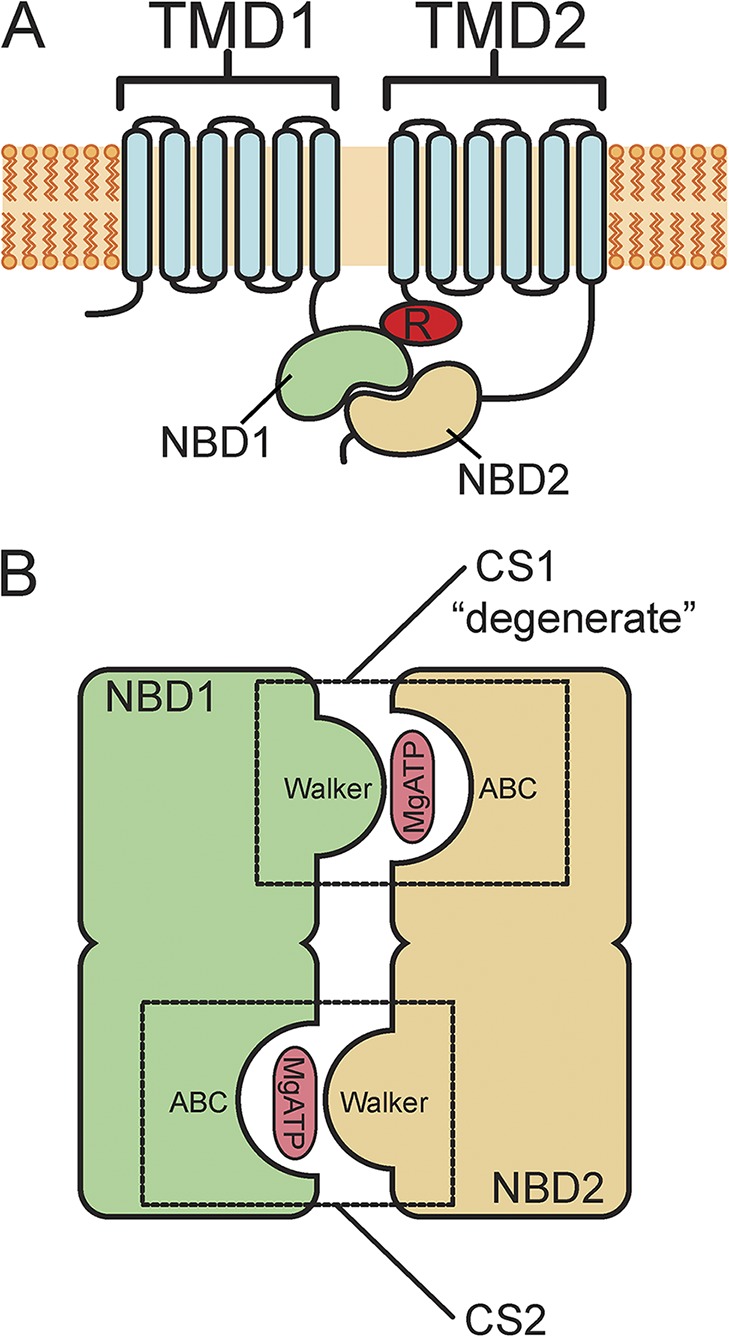 Figure 1.