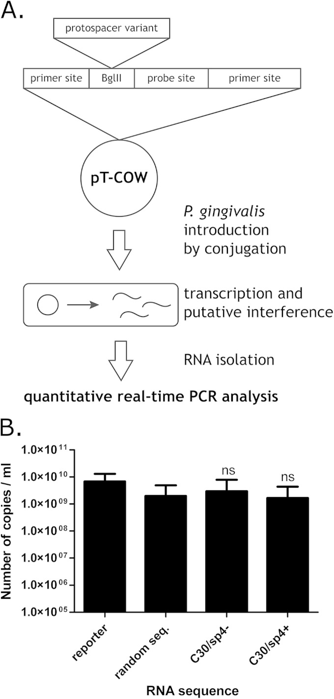 FIG 4