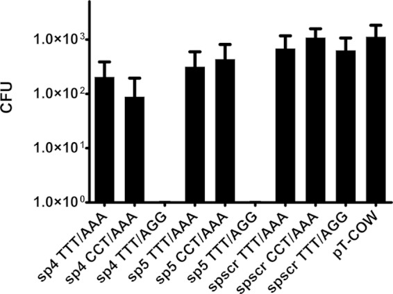 FIG 3