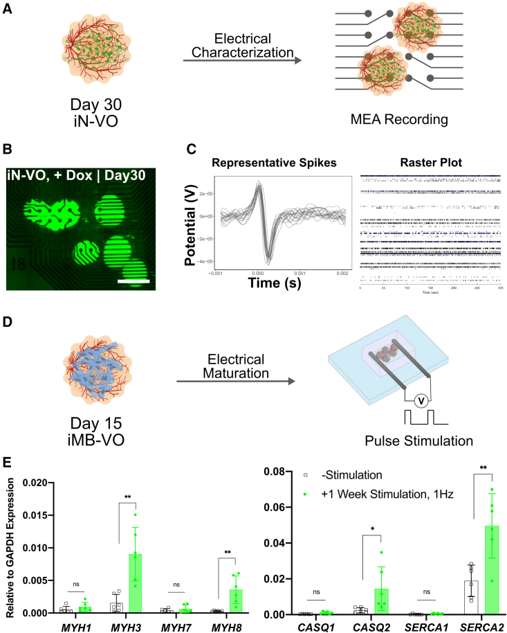 Figure 4