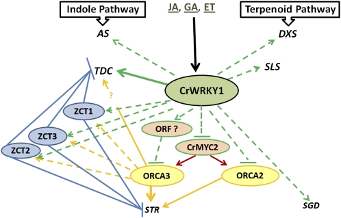 Figure 9.