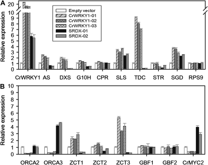 Figure 5.