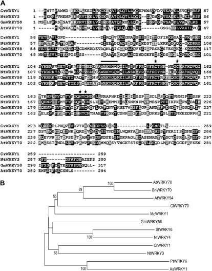 Figure 1.