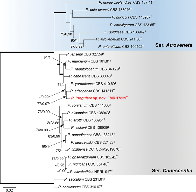 Figure 4.