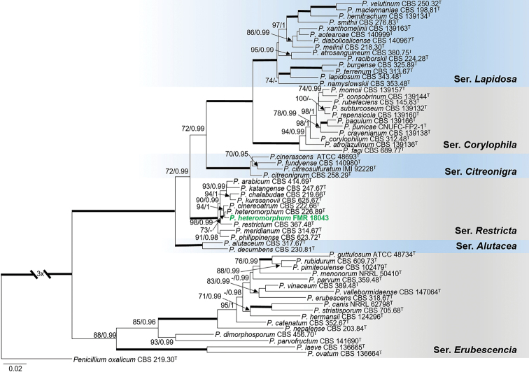 Figure 5.