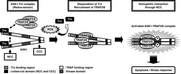 FIG. 7.